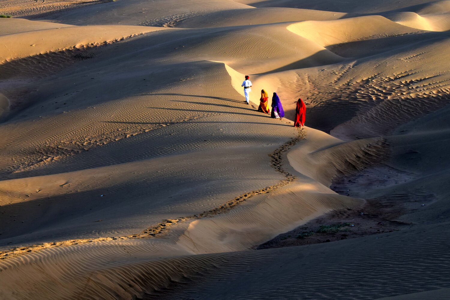 Desert Walk