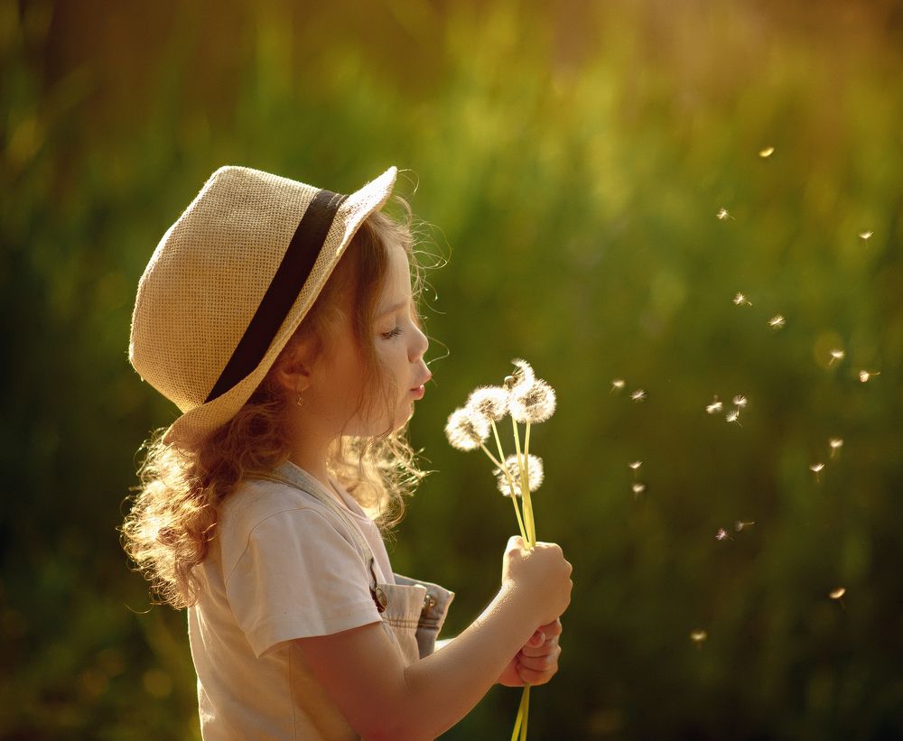 Одуванчики