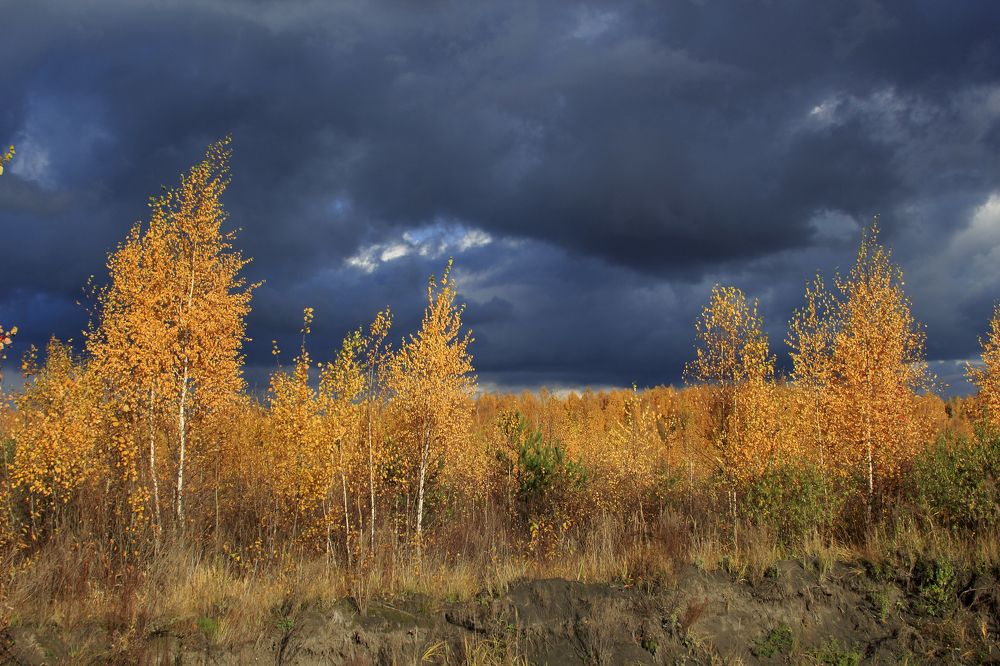 Краски осени
