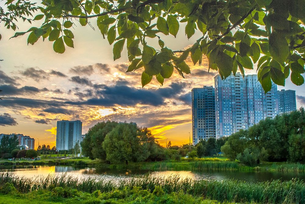 Photograph by Дмитрий Жижин