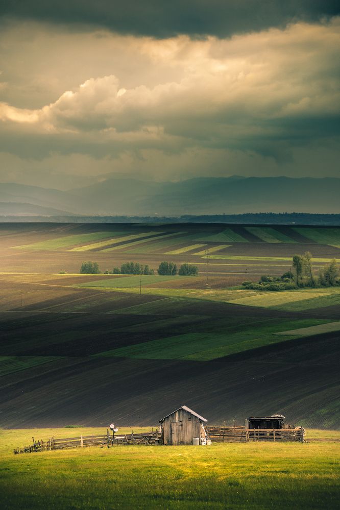 the story of a realm