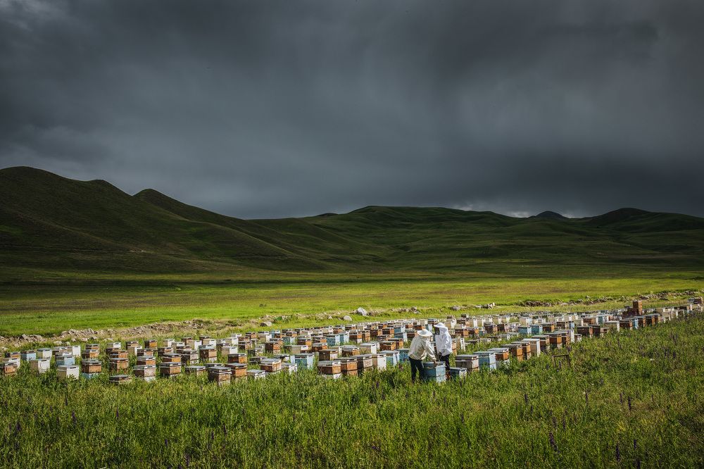 Фотография автора Mirkan Tunc