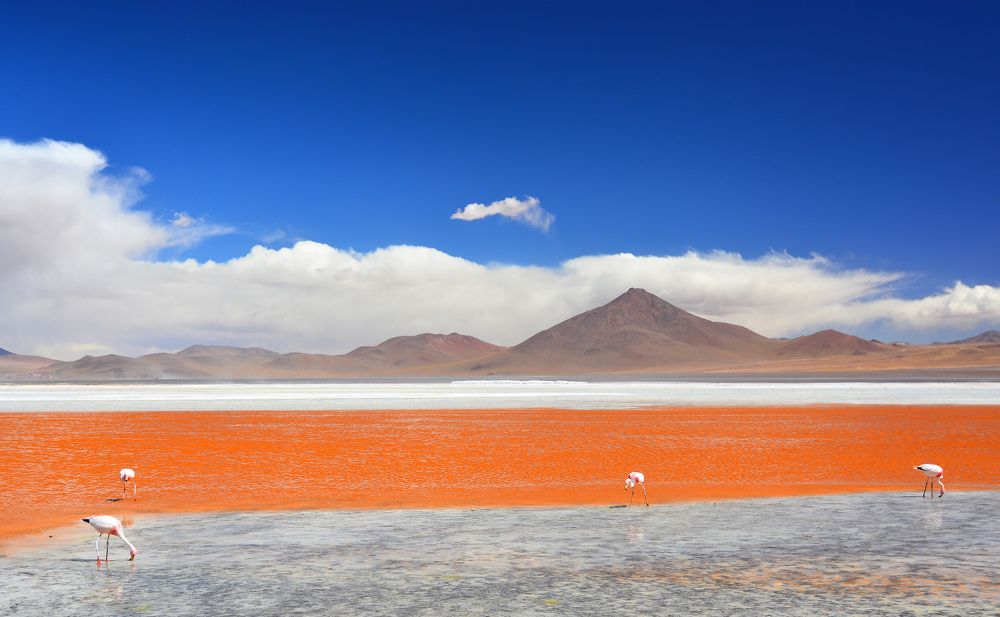 Photograph by somicsm