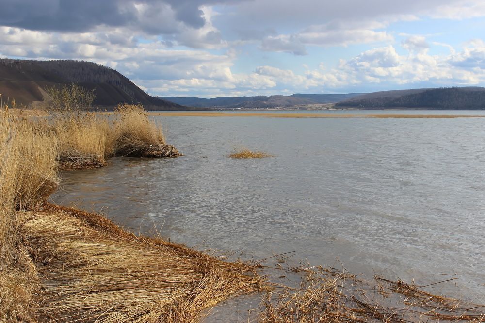 Андатровая заводь.Оз.Большое.Сибирь.