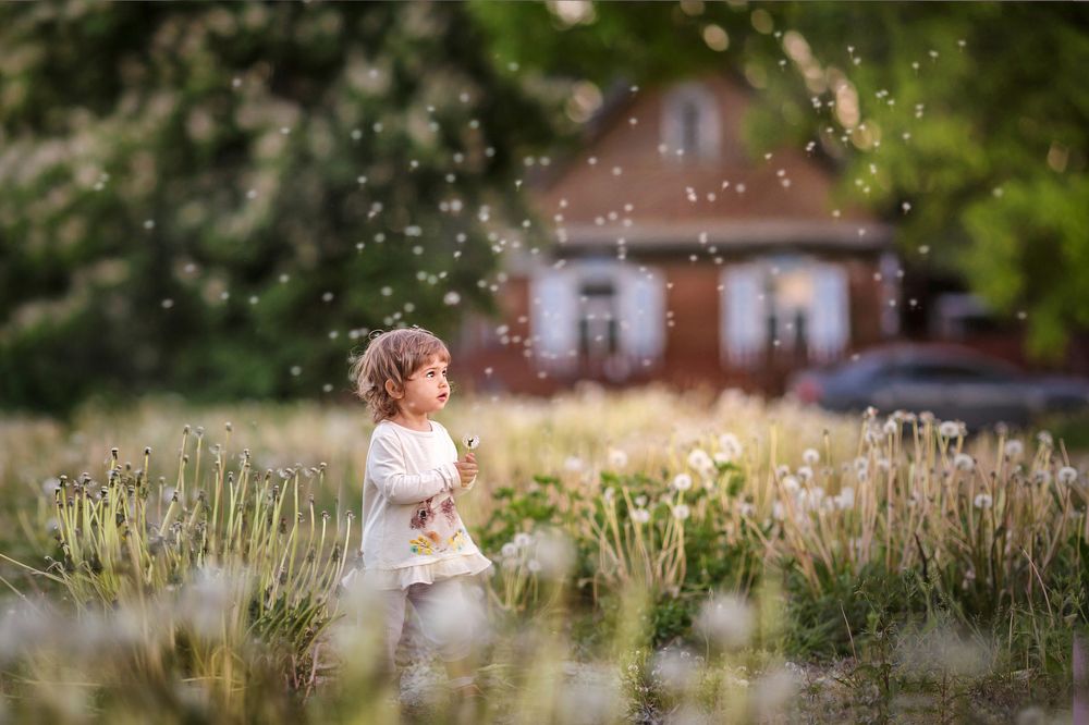 Феечки лета