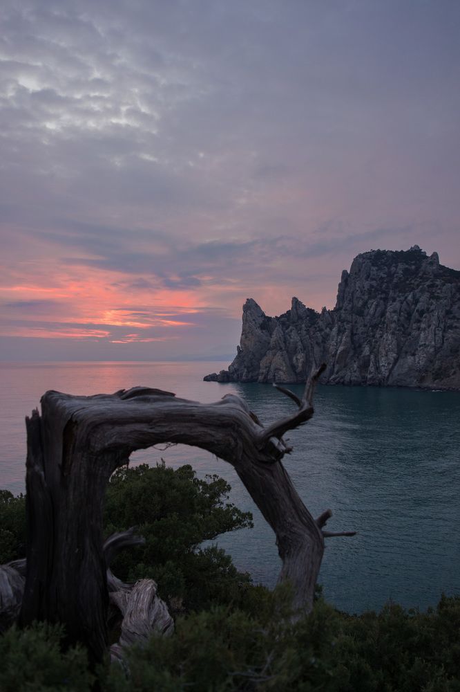 Древесный дух можжевеловой рощи