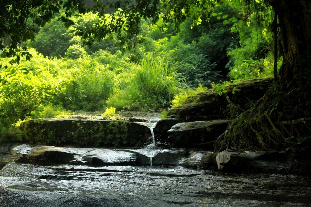 essence of nature