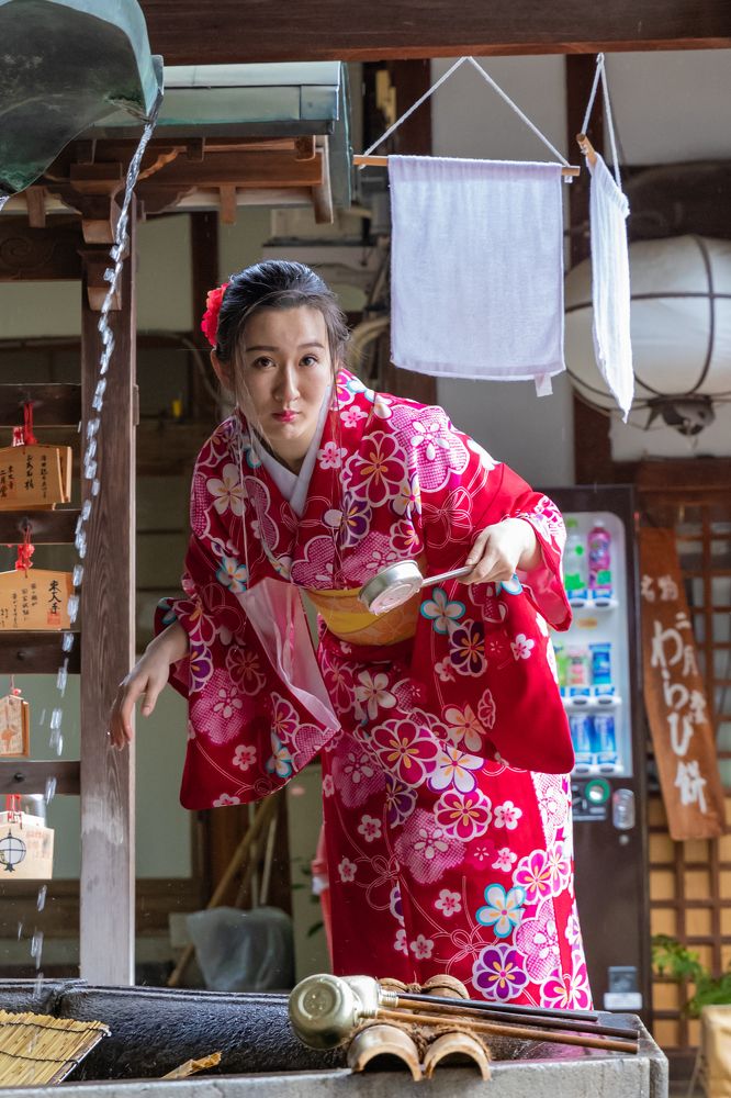 Удивительные встречи. Японские парки и храмы.