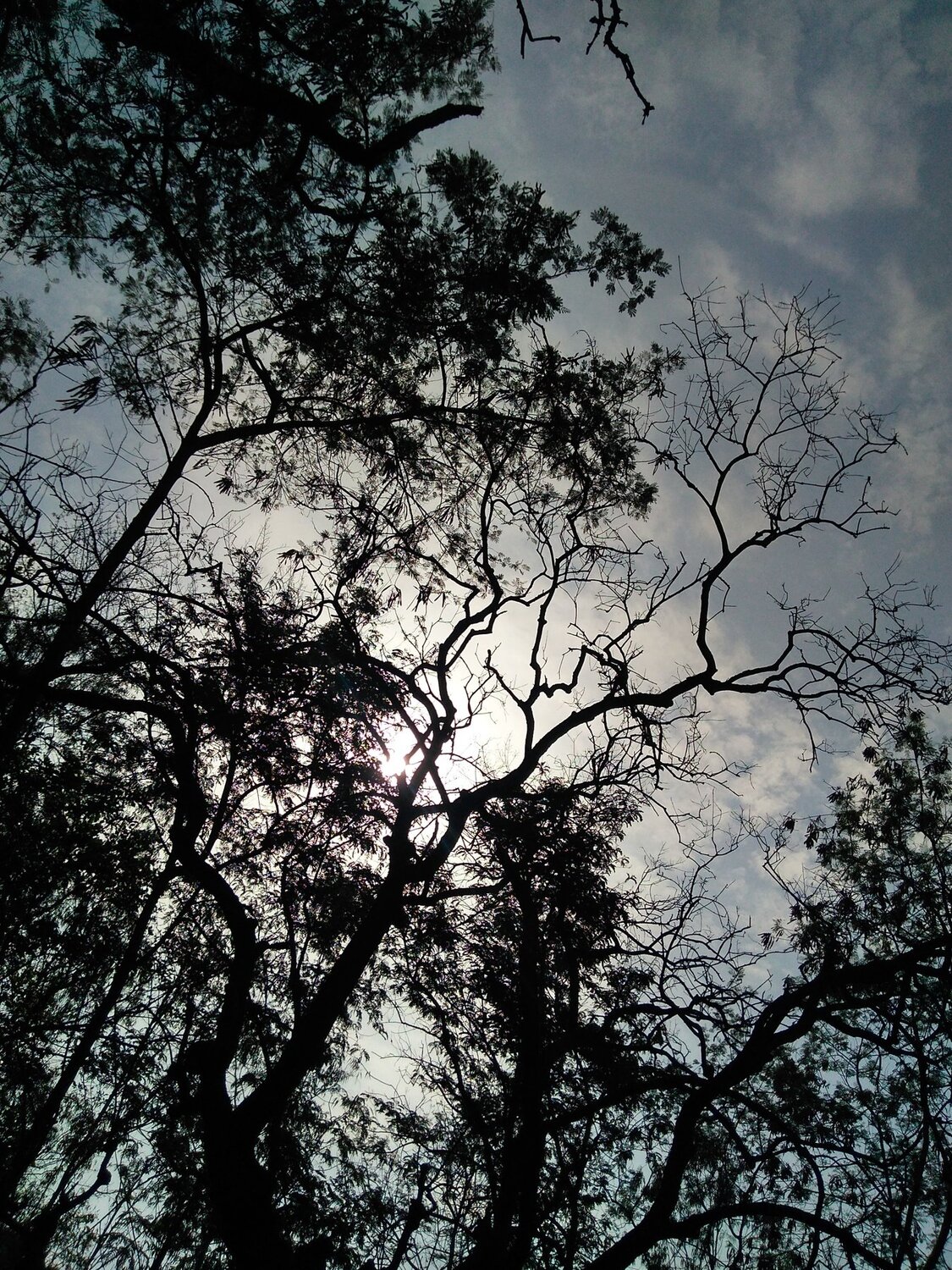 Sunset stories