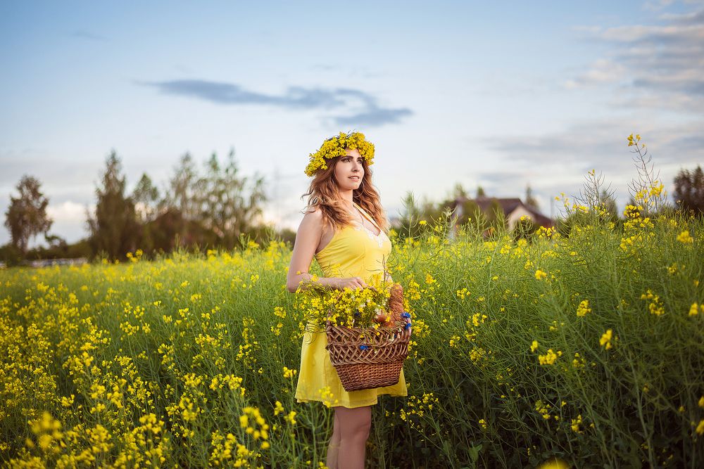 Рапсовые поля Беларуси