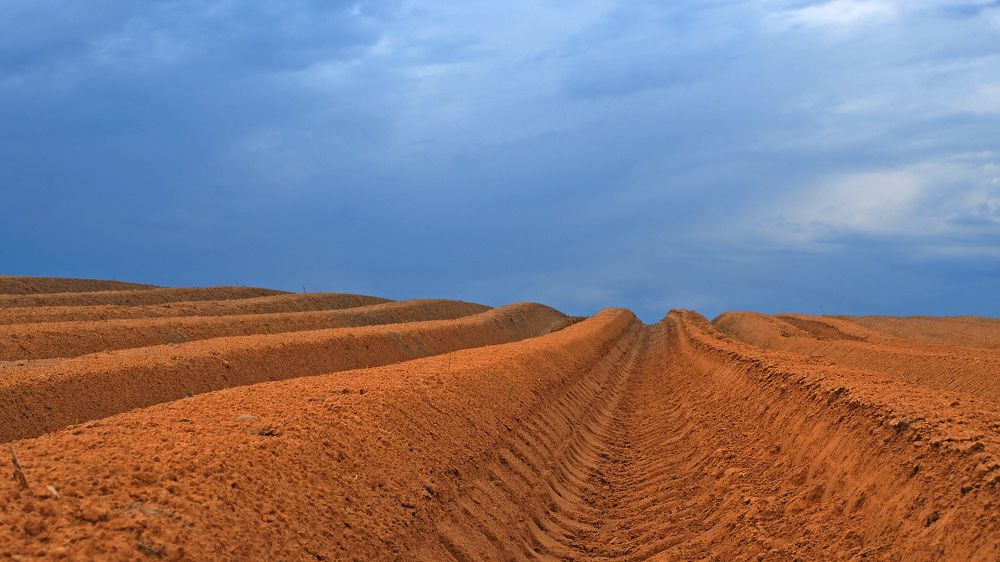 Фотография автора Александр Петаев