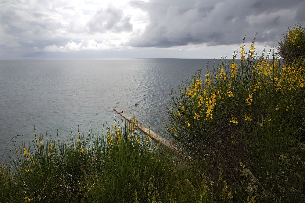 Майский день