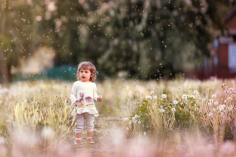 феечки лета 2