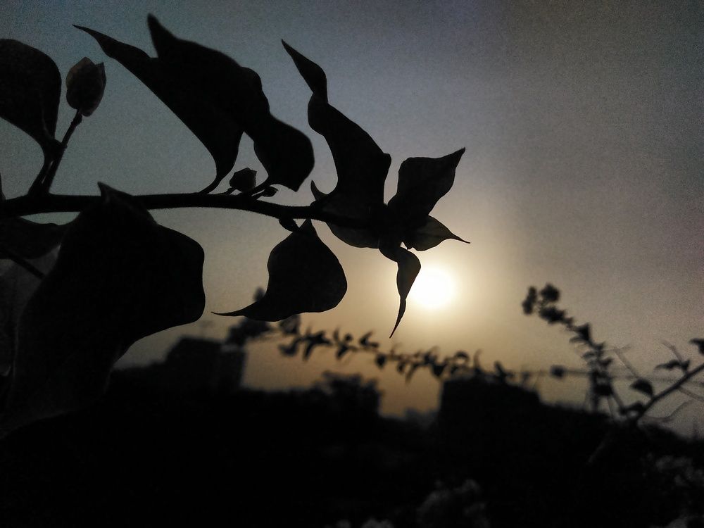 Sunset stories