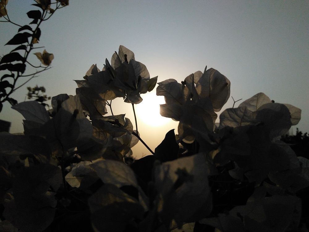 Sunset stories