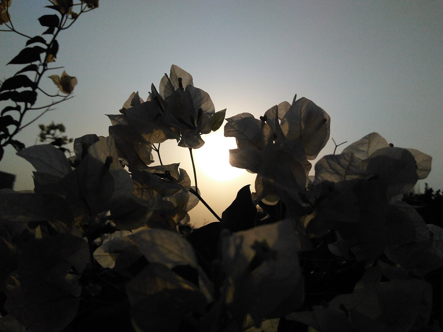 Sunset stories