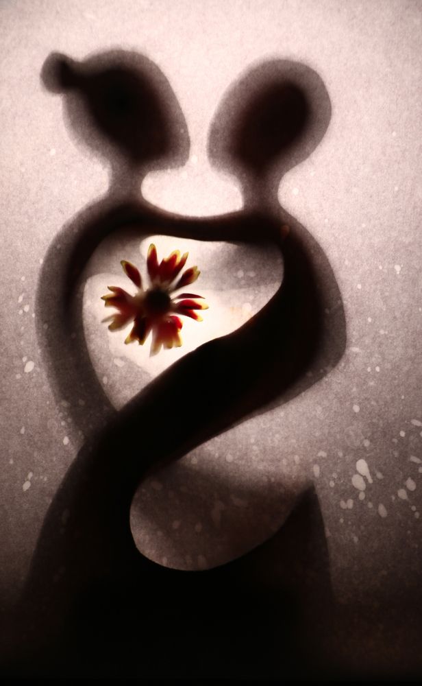 Одно сердце на двоих.