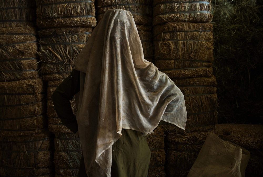 The Haystack Labourer