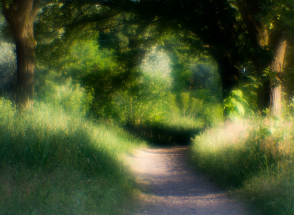 Летняя Сказка