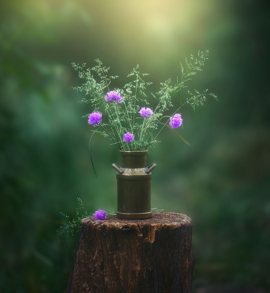 летнее настроение