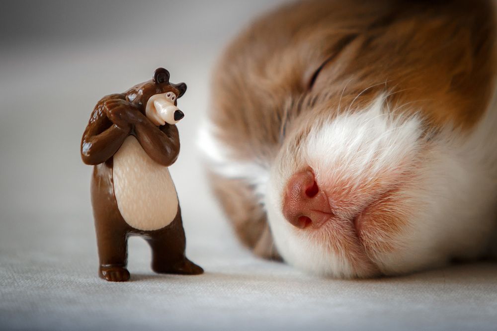 Крошка и Гигант. Tiny and giant