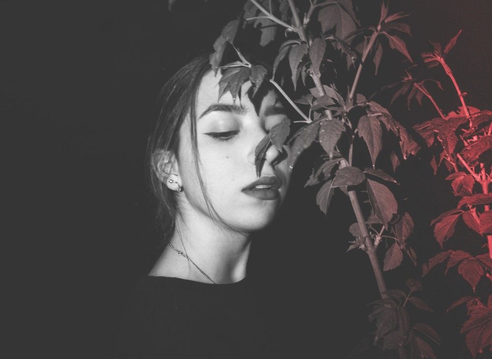 Ночная прогулка под деревьями