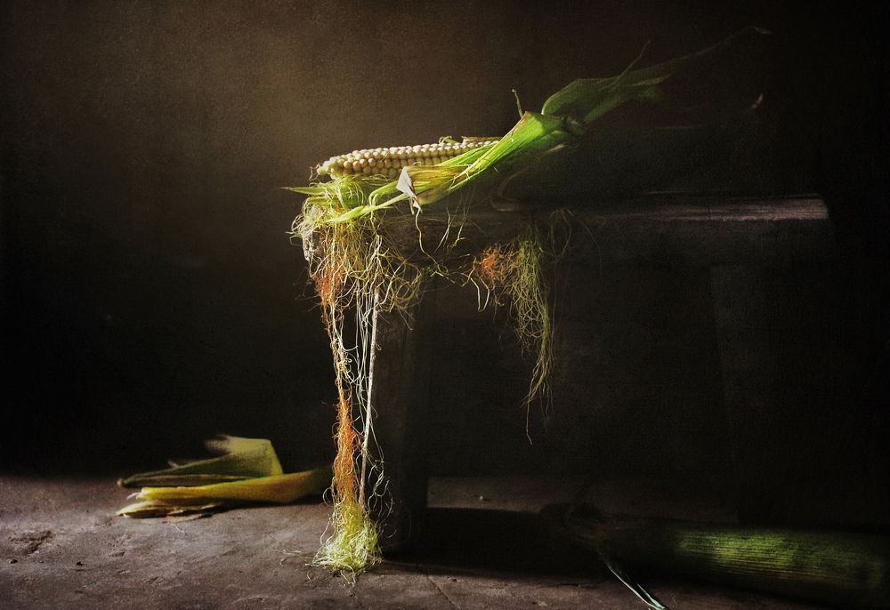 Касание солнца