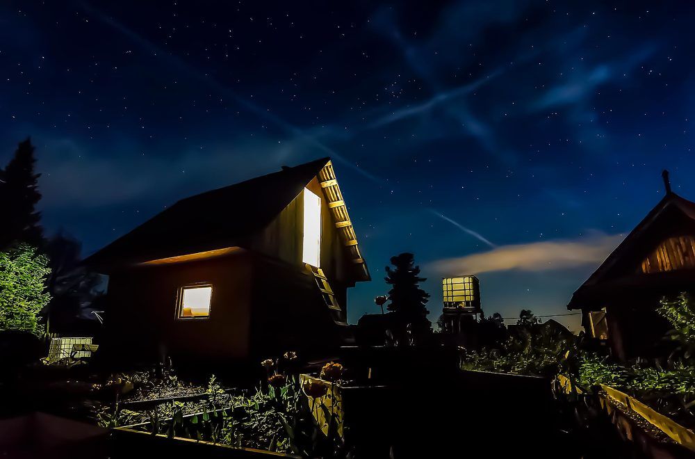 Готика. Ночь на садовом участке!