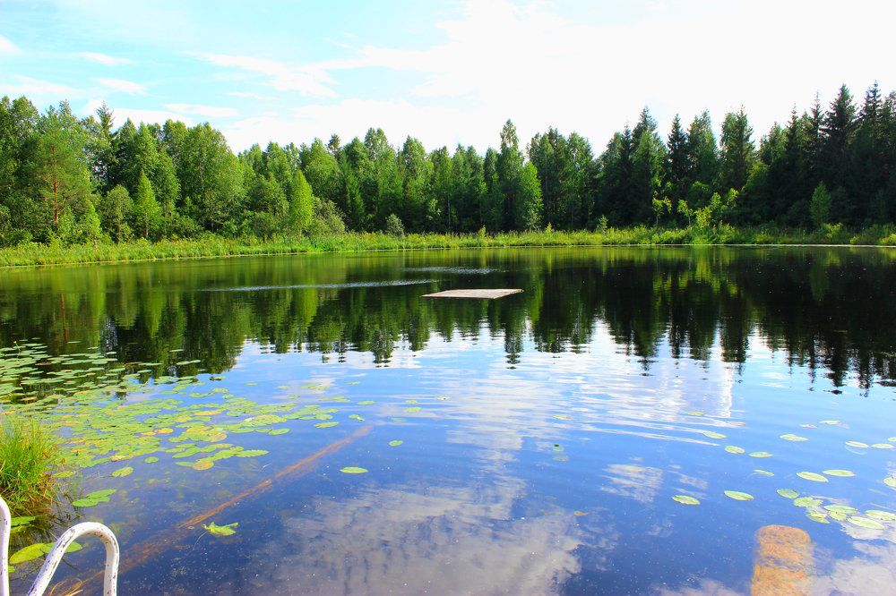 А он где-то рядом...