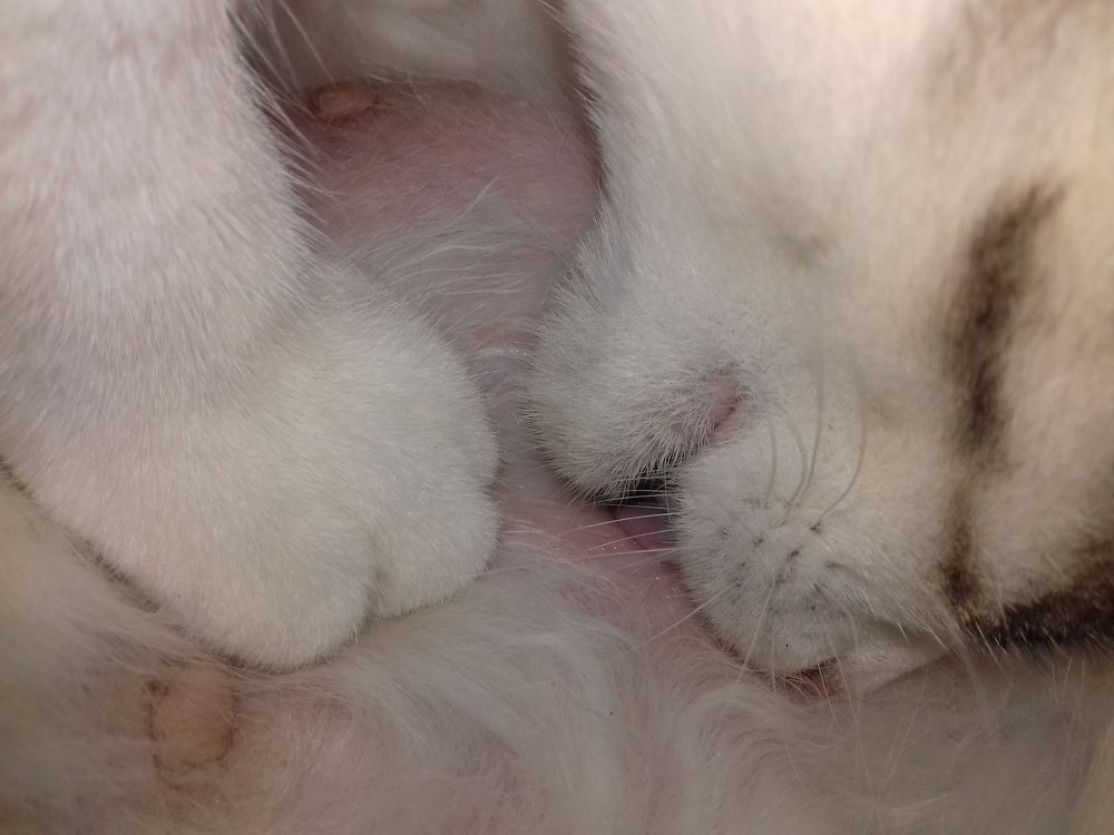Photo #2360654