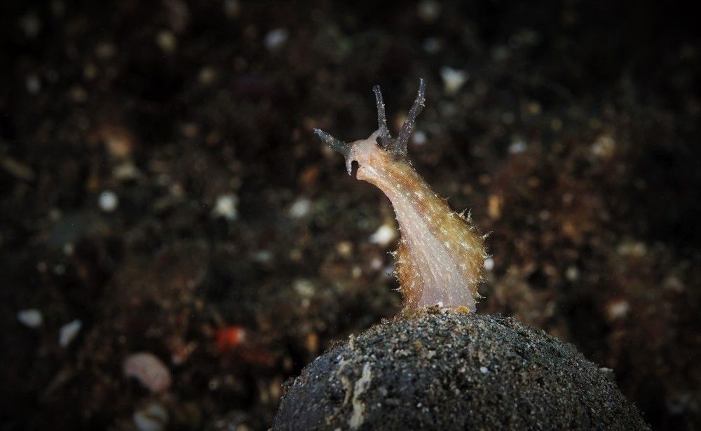 Photograph by Наталия Маслова