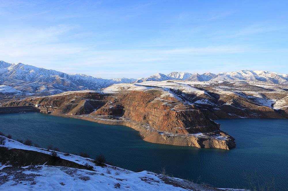 Отдыхающий тигр