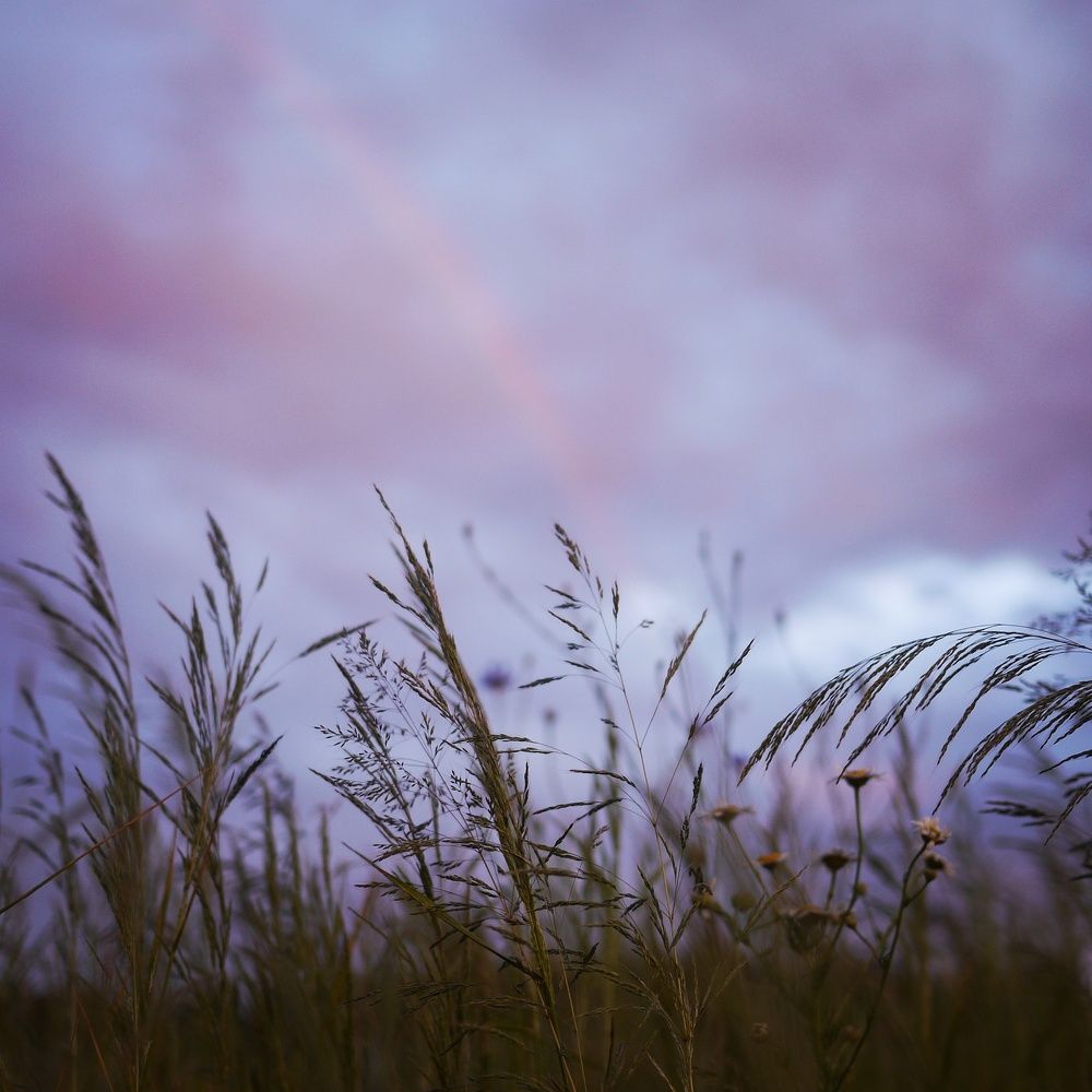 Photograph by Екатерина