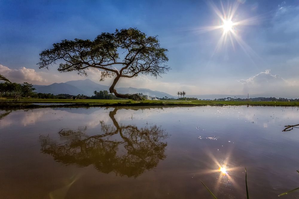 Sun