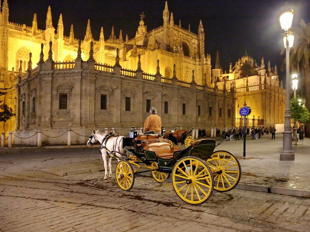 ночной извозчик