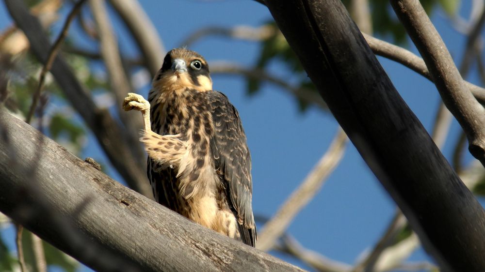 Утренняя зарядка