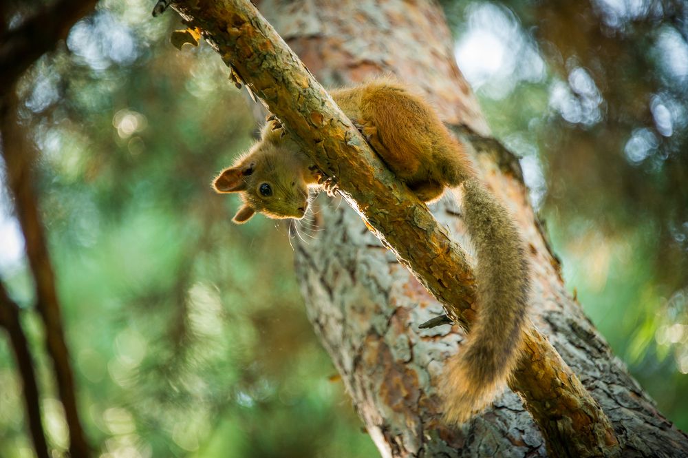 Этажем выше