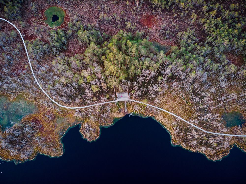 Nature reserve Cenas Tirelis (Cenas Swamp)