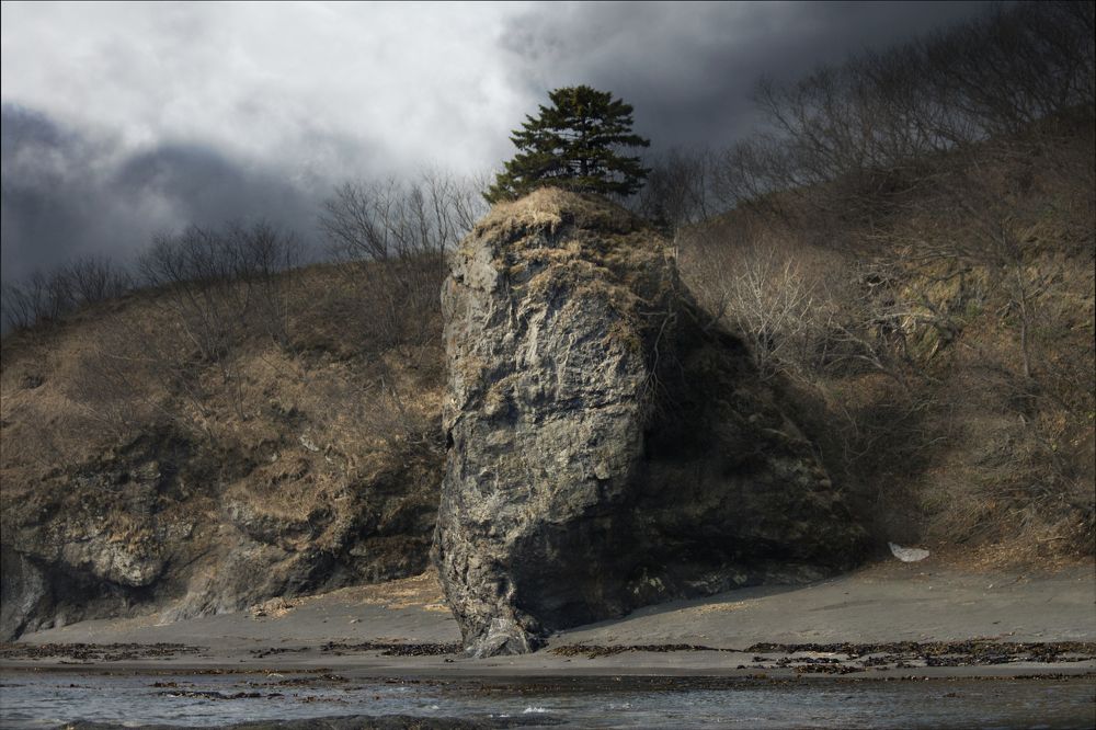 Хмурое утро