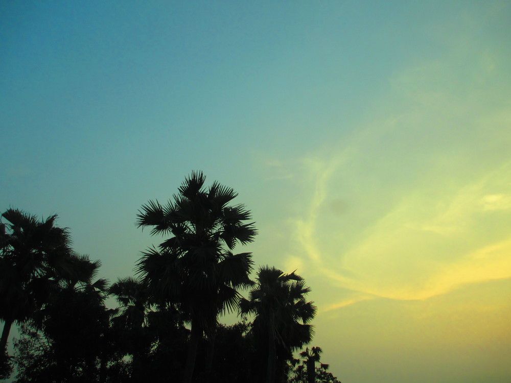 Blue Sky