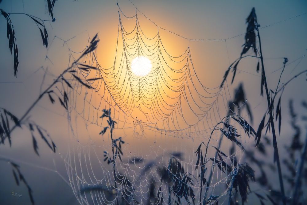 Долгое лето осени