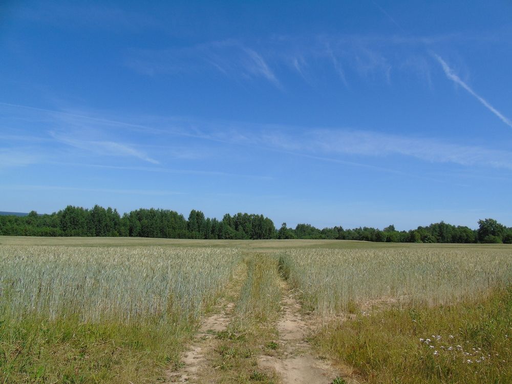 спокойствие