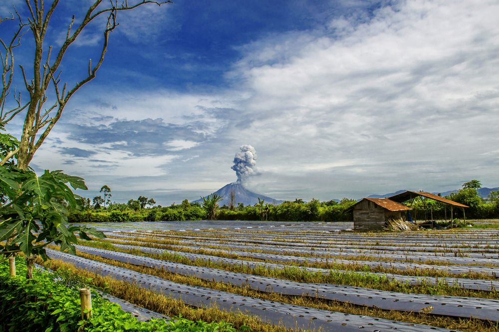 Coexist with the Volcano