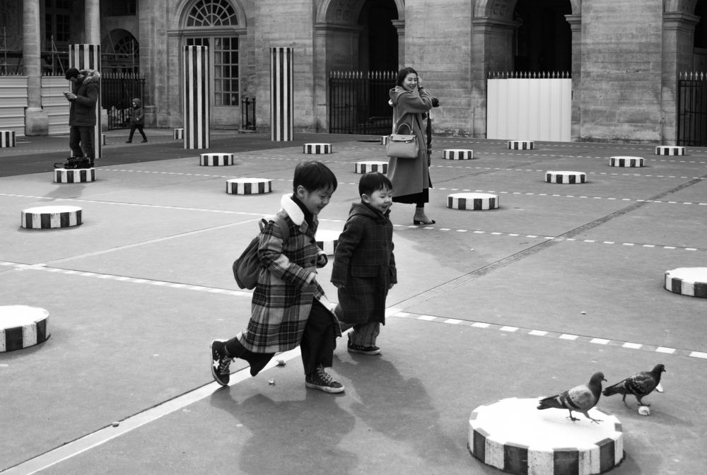 Children and birds