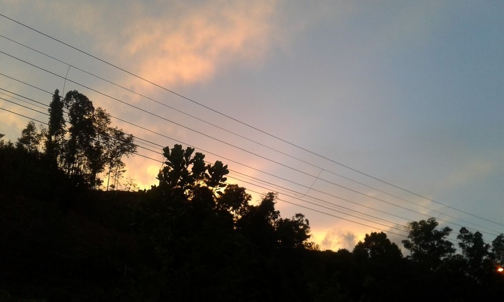 Nature and Landscape