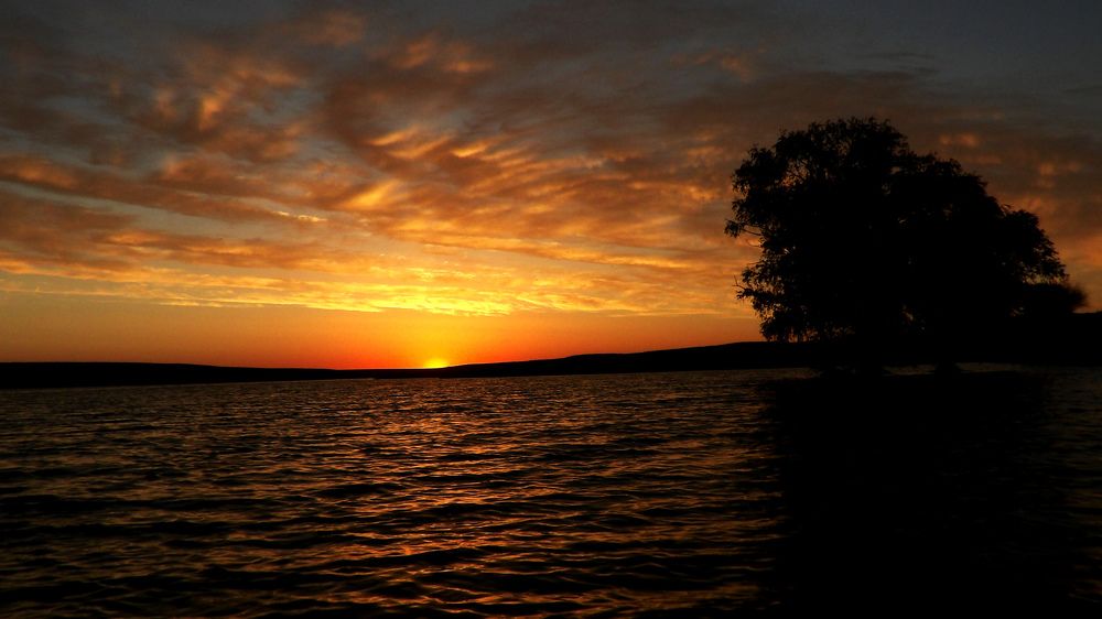 Золотой рассвет