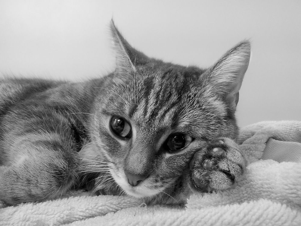 Я слушаю внимательно!