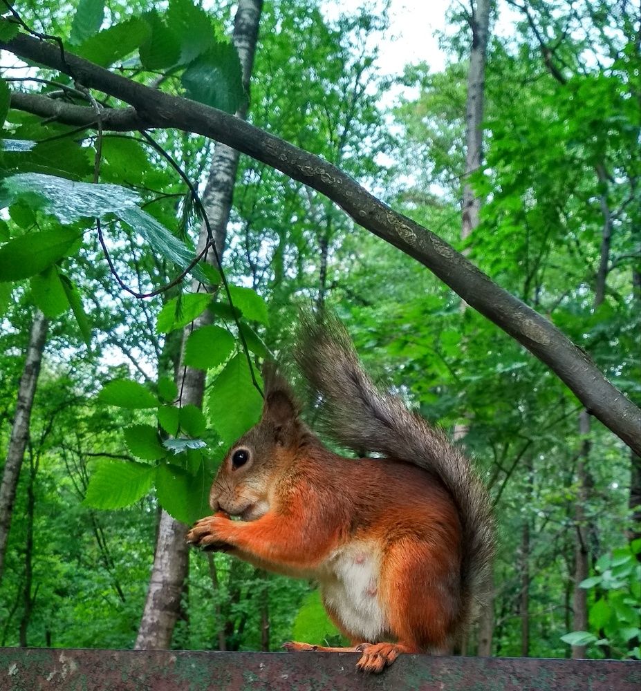 Photograph by Любовь Макарова