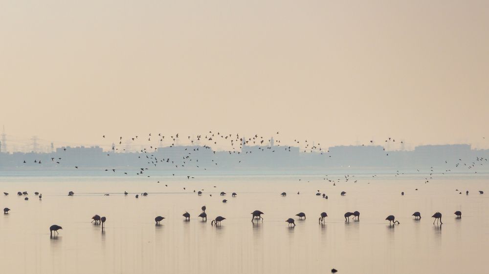 Few beautiful elements of nature