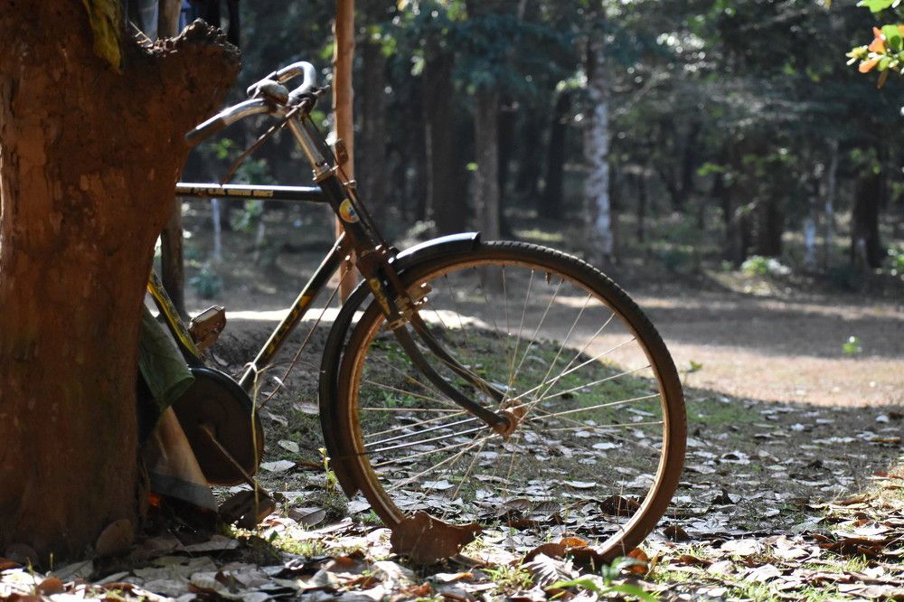 Old Bicycle